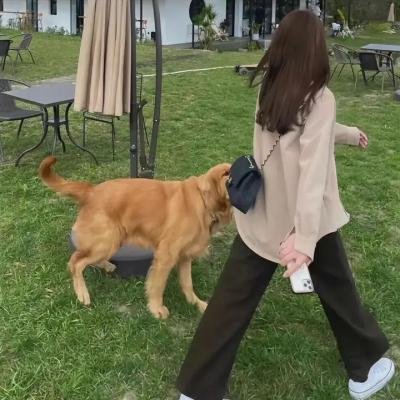 渺小的死亡